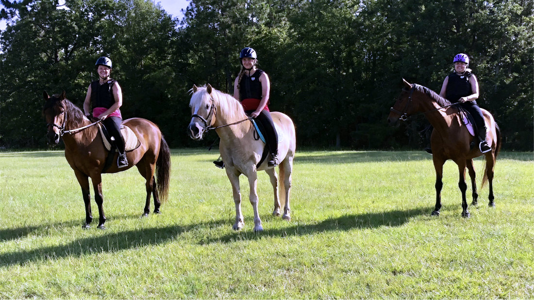 Horse riding lessons for adults and children in Aiken, South Carolina