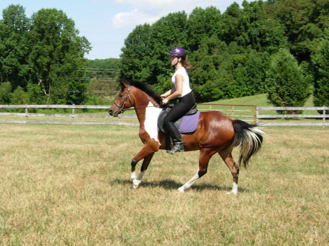 Contact New Era Farm for Horseback Riding Lessons in Aiken, SC